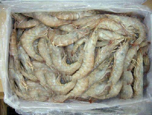 洛阳海鲜批发